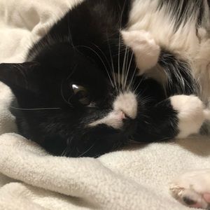 Meet your Posher, Jillian